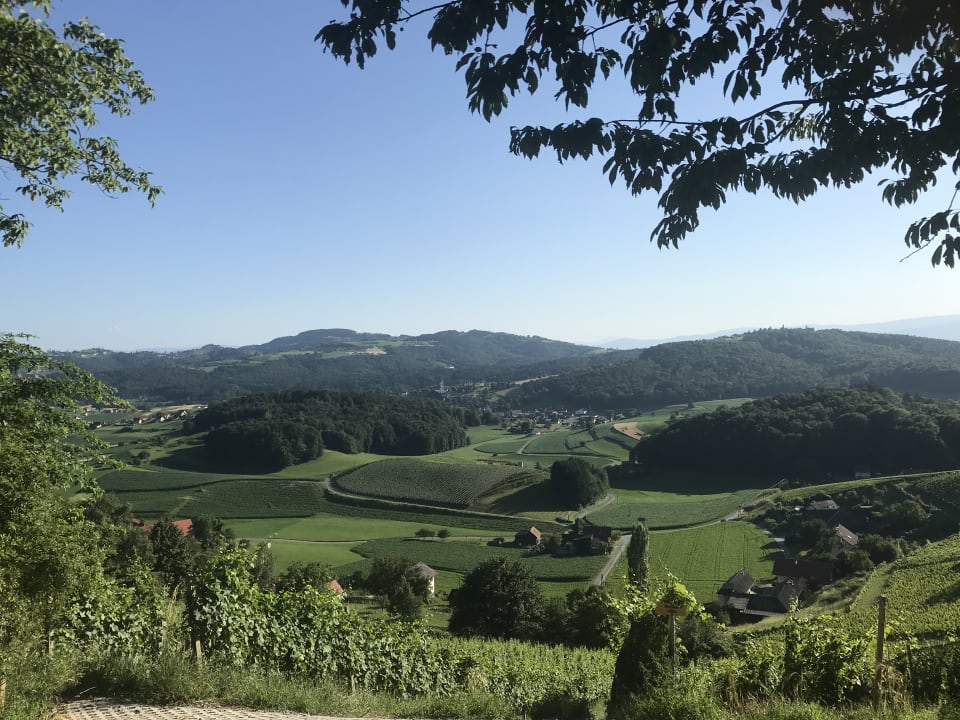Ausblick Weingartenhotel Harkamp