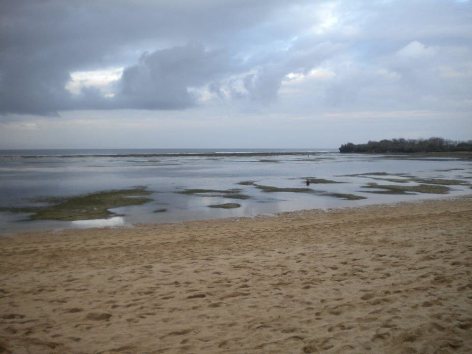 Strand bei Ebbe The Westin Resort Nusa Dua, Bali