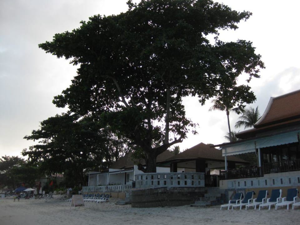 Strandbar Chaweng Cove Beach Resort