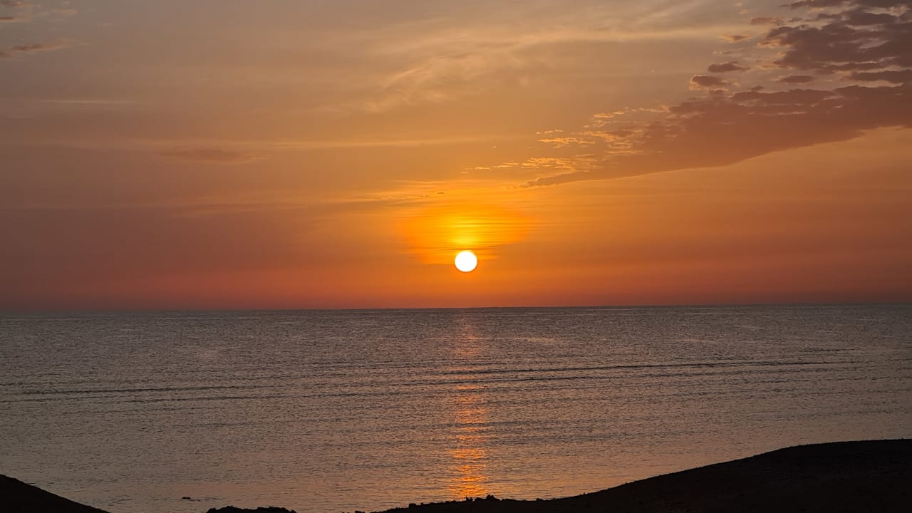 Ausblick Malikia Resort Abu Dabbab