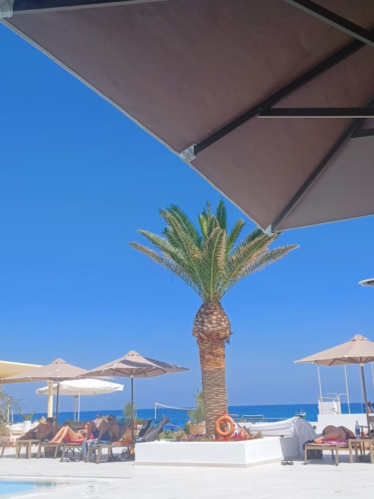 Pool Hotel Kathrin Beach