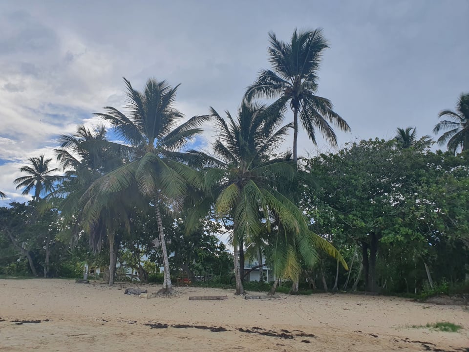 Strand Bahia Principe Grand El Portillo