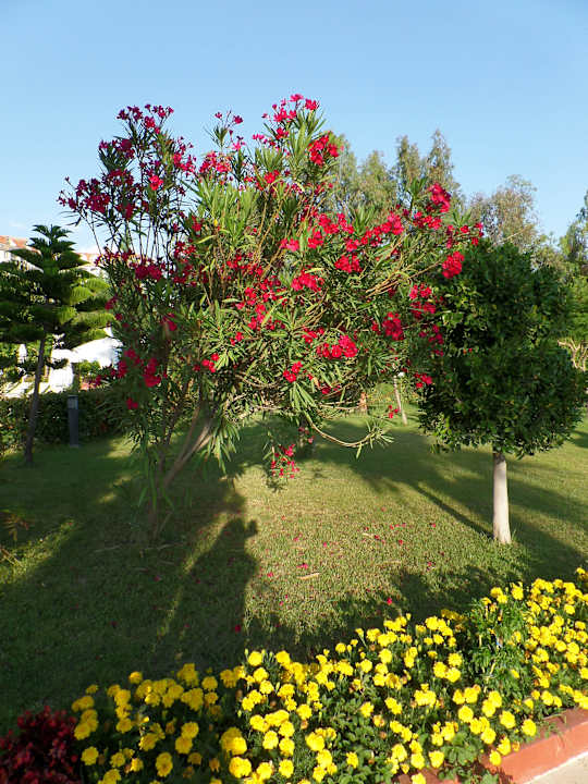 Gartenanlage Saphir Resort & Spa