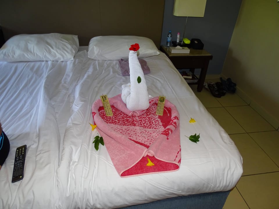 Jeden Tag eine kleine Überraschung JAZ Aquamarine Resort