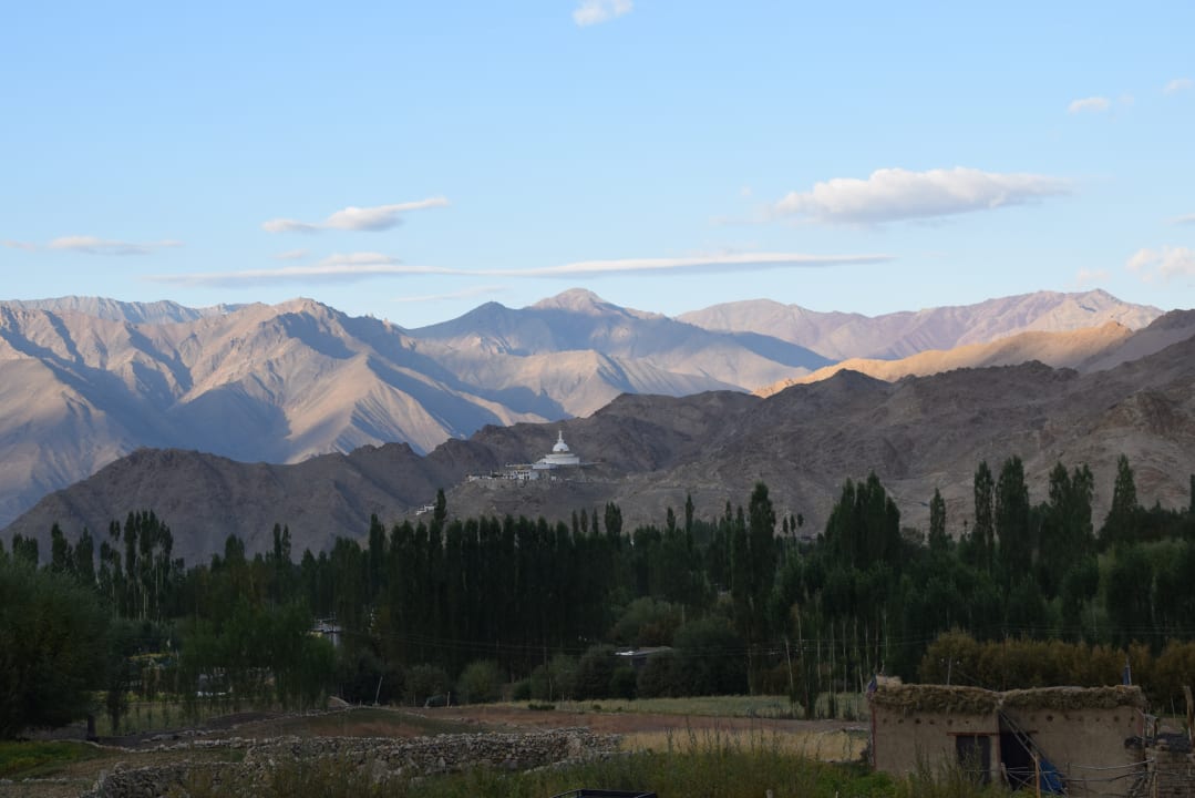 Ausblick Hotel Charu Palace