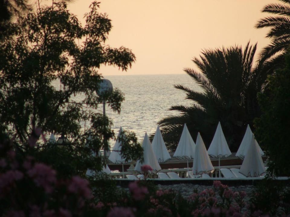 Ein Blick von unserem Bungalowzimmer. Labranda Alantur Resort