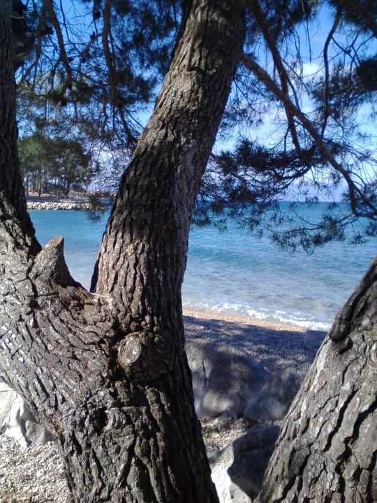 Umfeld 100m von Villa Elizabet Villa Elizabet