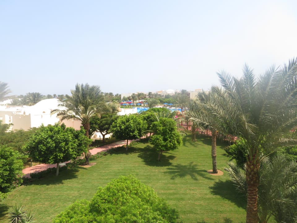 Ausblick Desert Rose