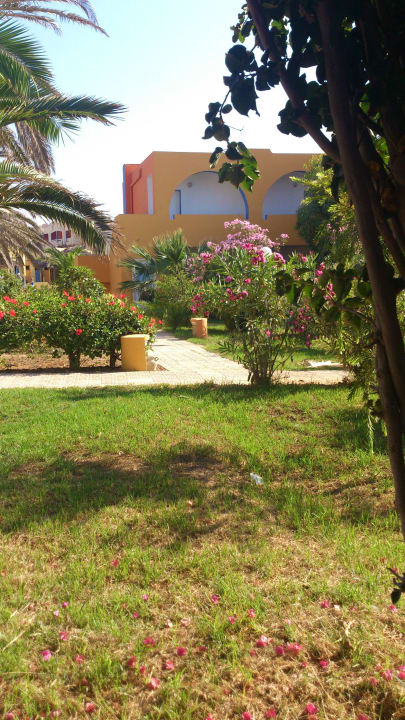 Widok z pokoju Club Lookea Beach Azur