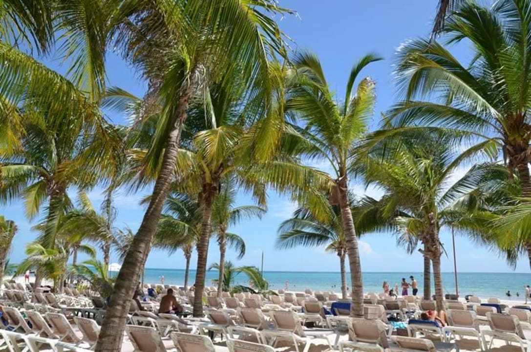 Standard-Bereich Catalonia Playa Maroma