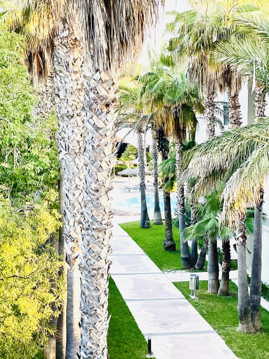 Ausblick allsun Hotel Eden Playa