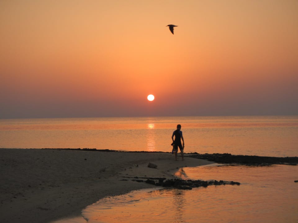 Early Morning Dive Hotel Gorgonia Beach Resort