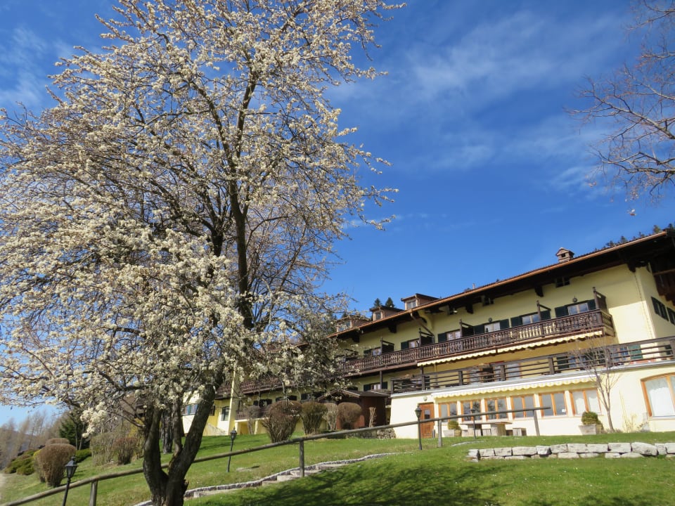 Gartenanlage Der Westerhof - Hotel in Tegernsee