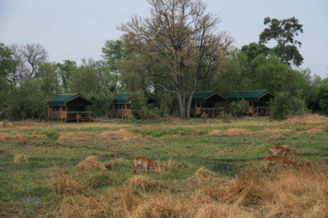 Das Camp von der anderen Flußseite Sango Safari Camp