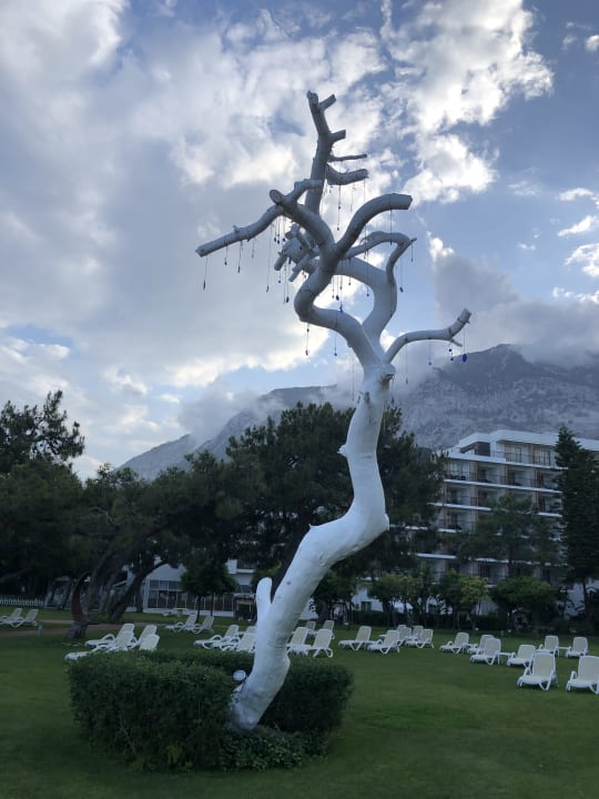 Gartenanlage TUI MAGIC LIFE Beldibi +16