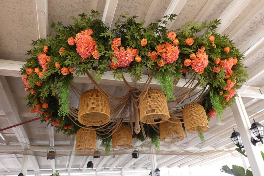 Strand Hane Family Resort