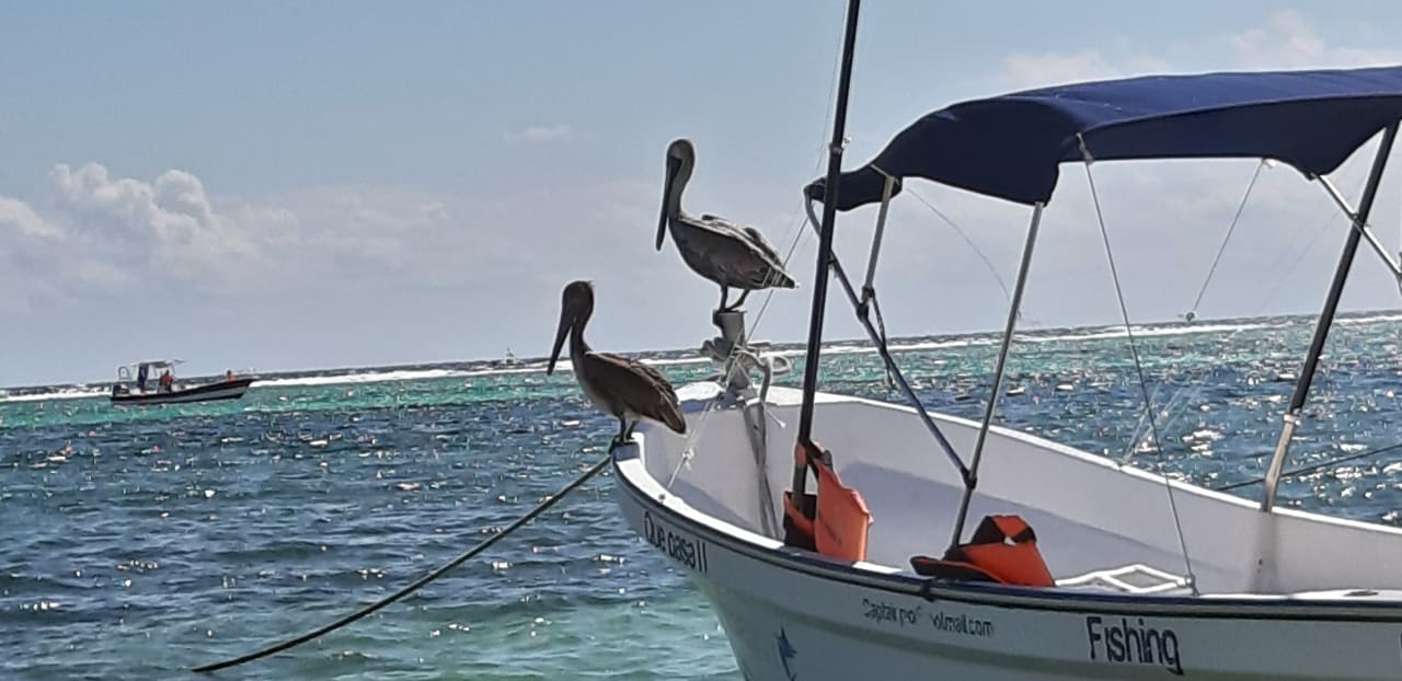 Strand Akumal Bay Beach & Wellness Resort