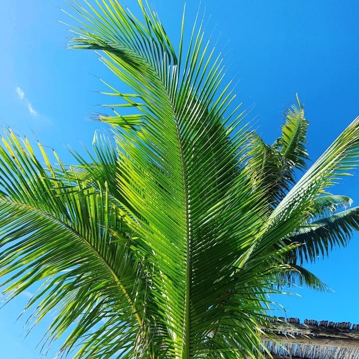 Garten Akumal Bay Beach & Wellness Resort