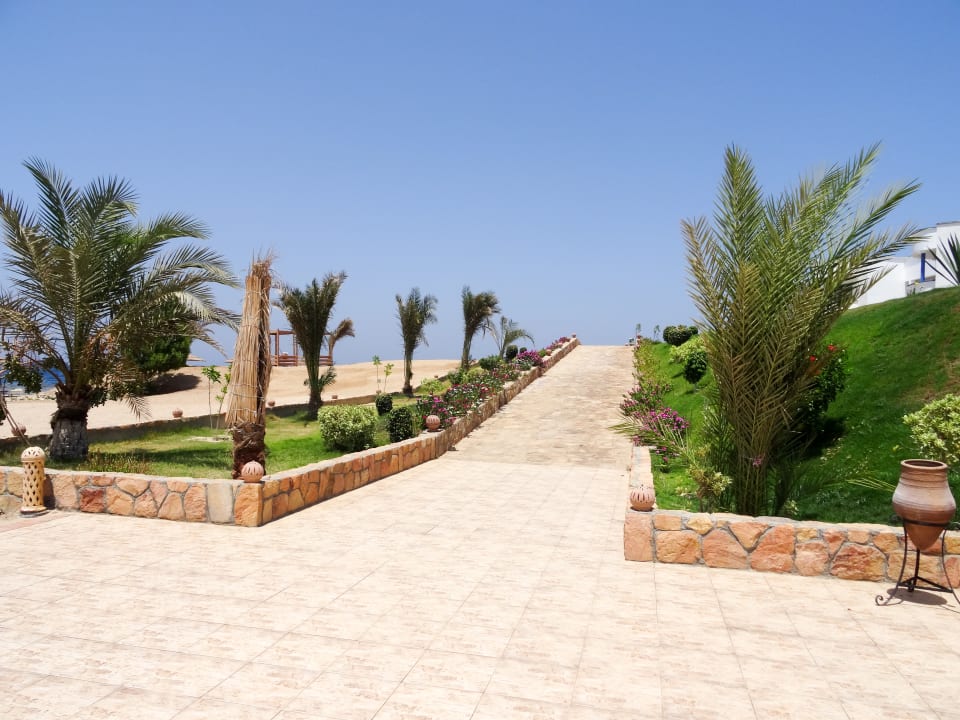 Ausblick Coral Sun Beach