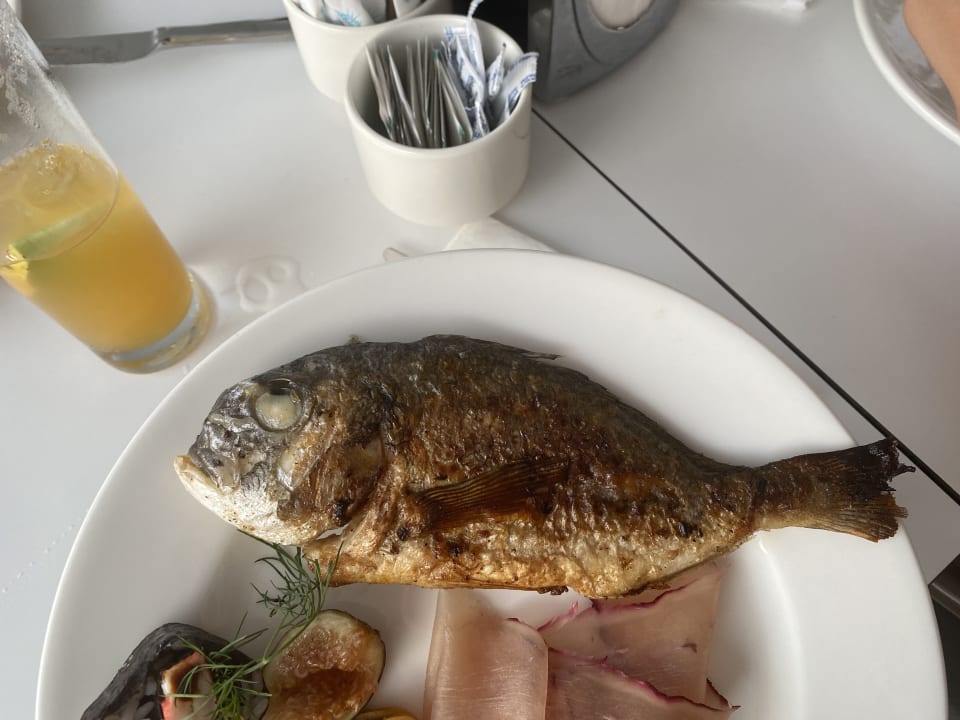 Gastro Arcanus Hotels Trendline Side