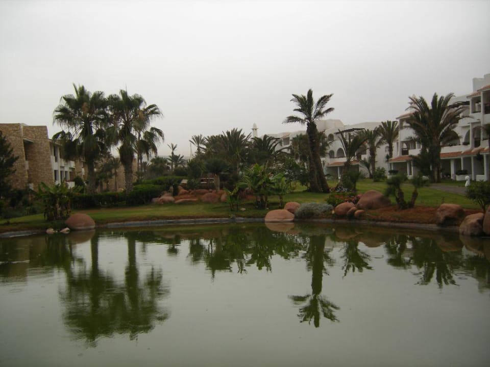 Le plan d'eau Hotel Riu Tikida Dunas