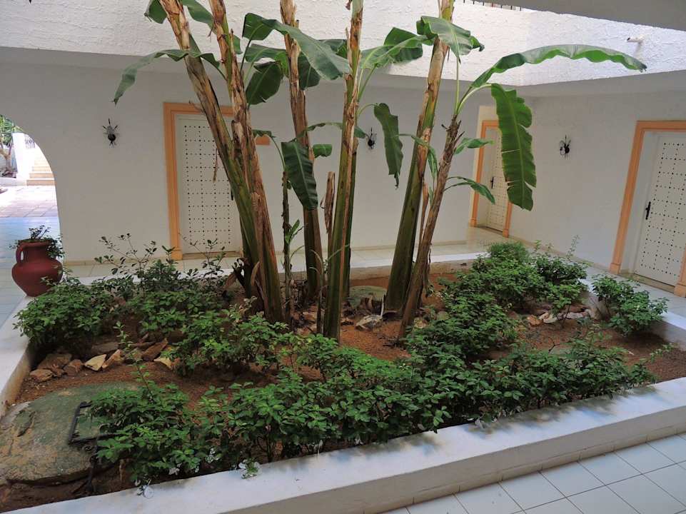 Anlage im Hotel Hotel Nesrine