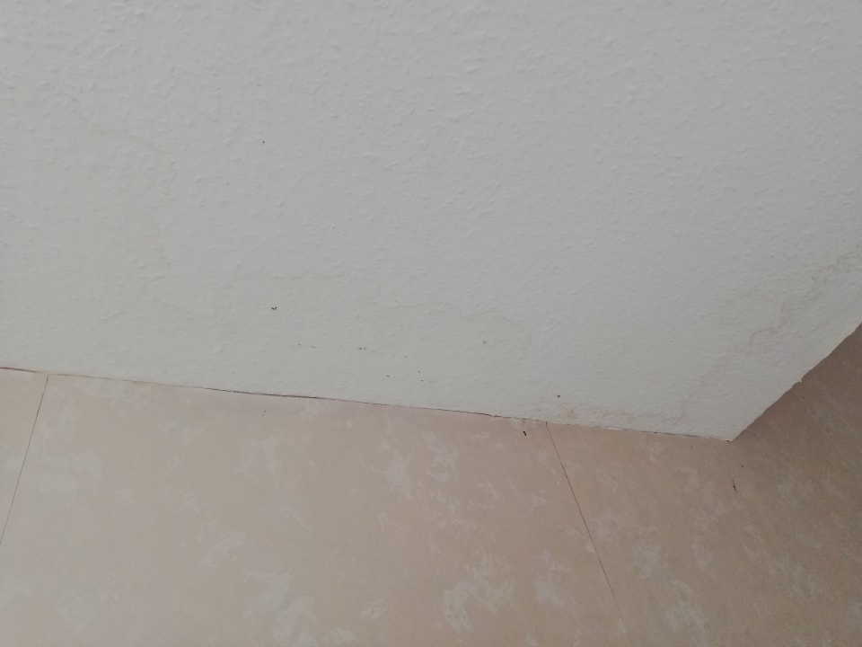 Zimmer Das 53° Hotel