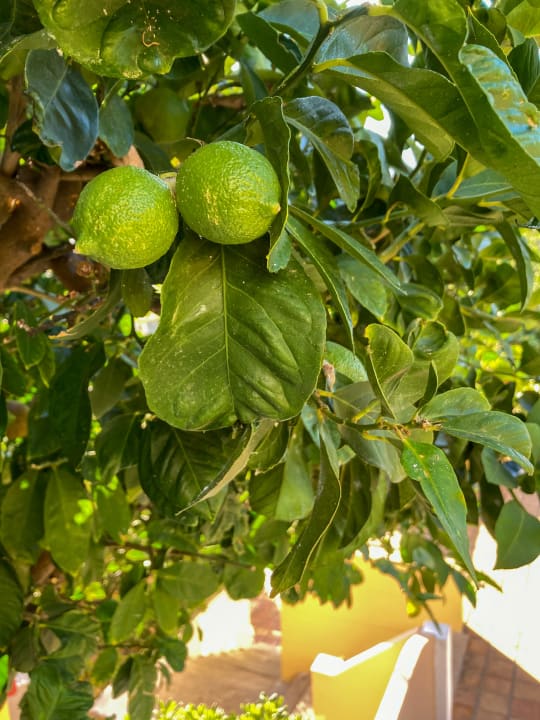 Außenansicht Fodele Beach & Water Park Holiday Resort