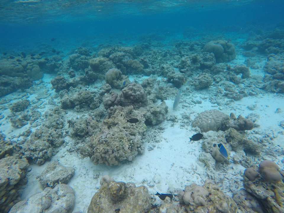 Strand Furaveri Maldives