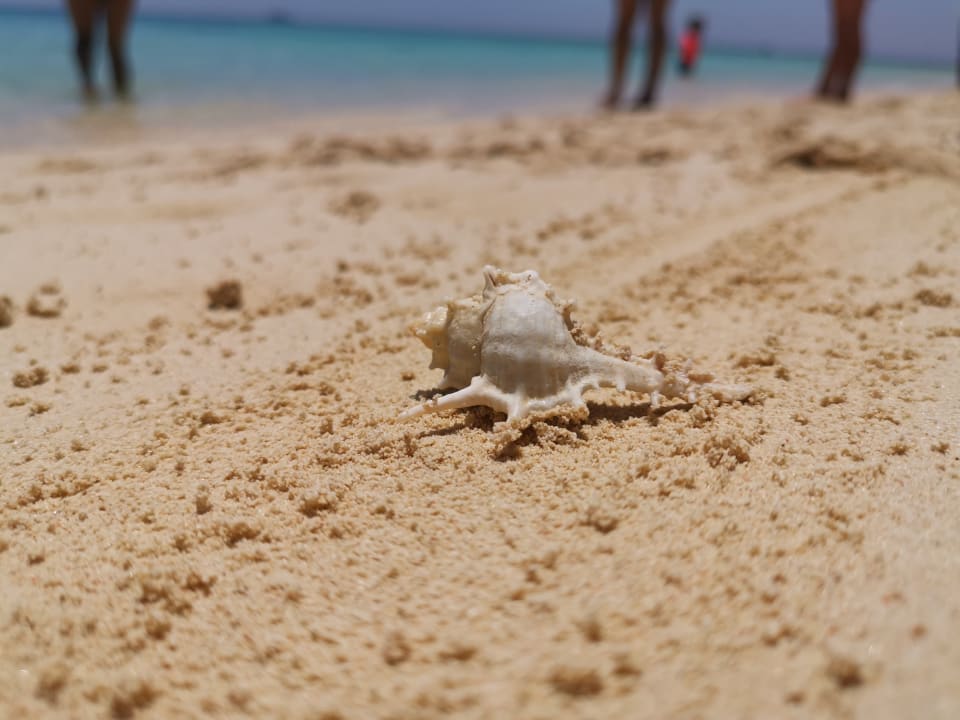 Strand Steigenberger Aqua Magic