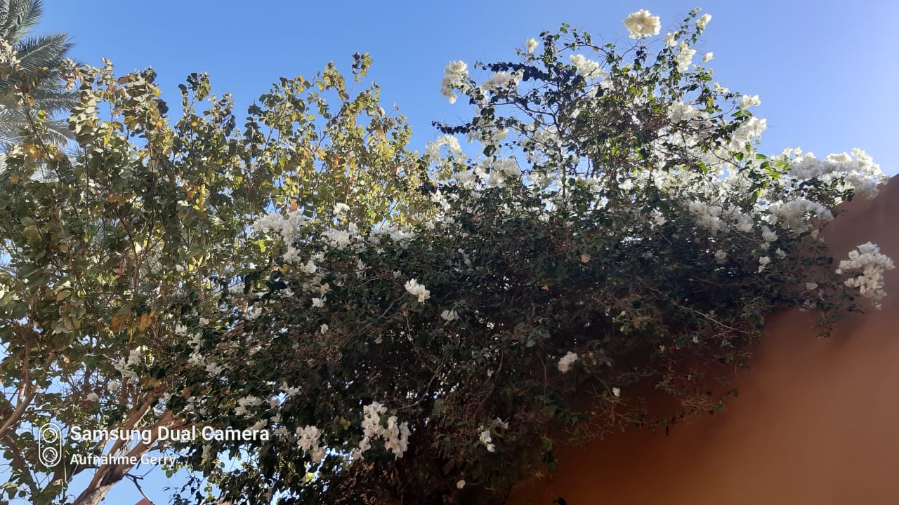 Außenansicht Grand Makadi