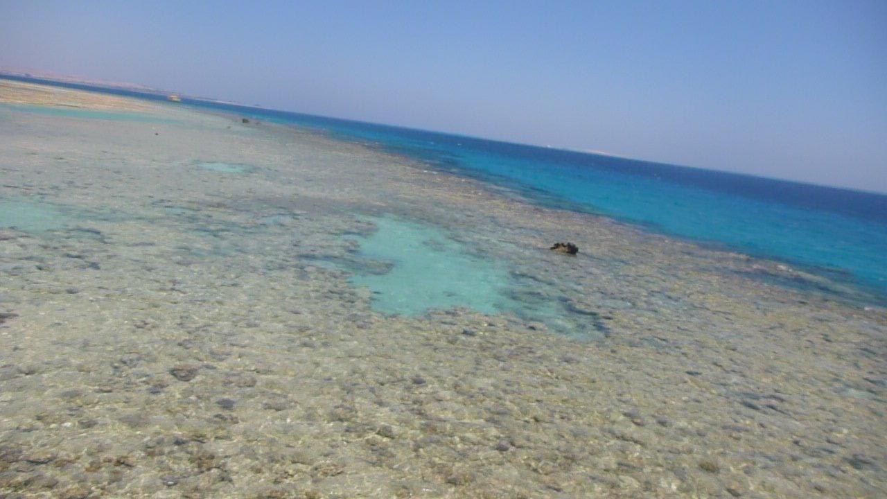 Traumhaftes weites Meer Makadi Spa - Adults only