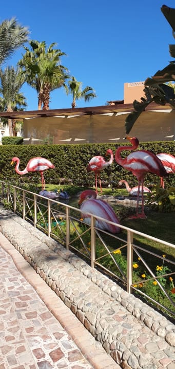 Außenansicht Jaz Makadi Saraya Resort