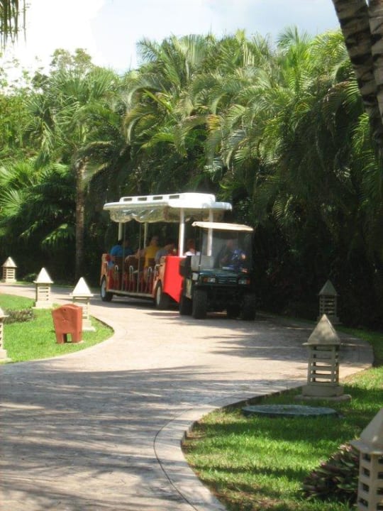 "Hotelexpress" Iberostar Waves Paraiso del Mar