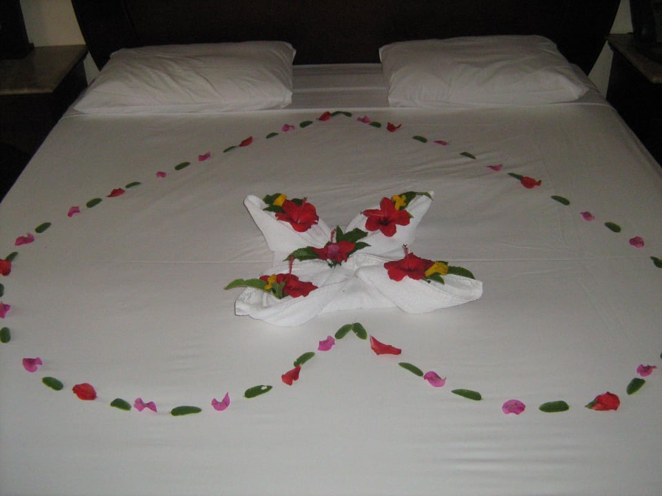 Hotel Stella Makadi Beach Resort Stella Beach Resort & Spa Makadi Bay