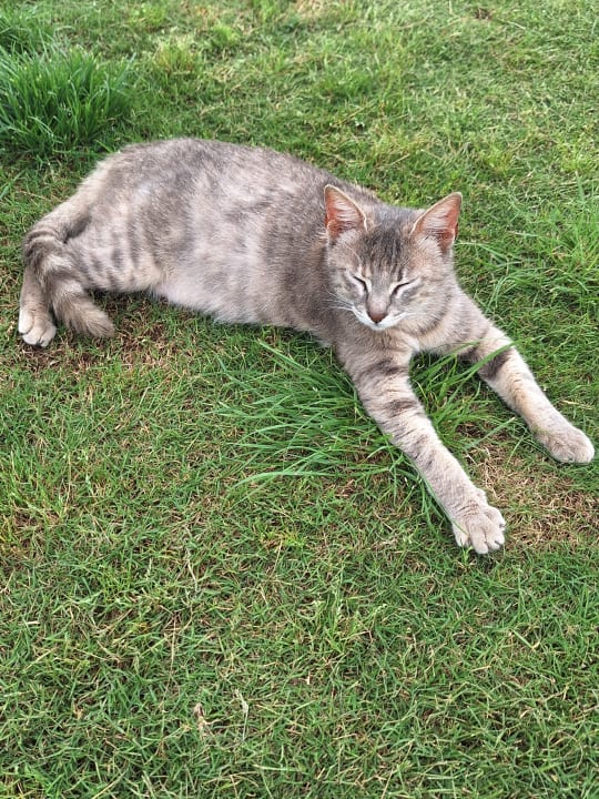 Strand Side Story Resort & Spa