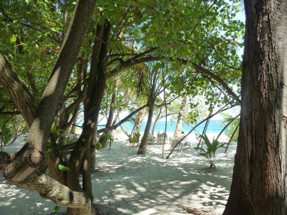 Liegen bei #149 Adaaran Club Rannalhi - All Inclusive