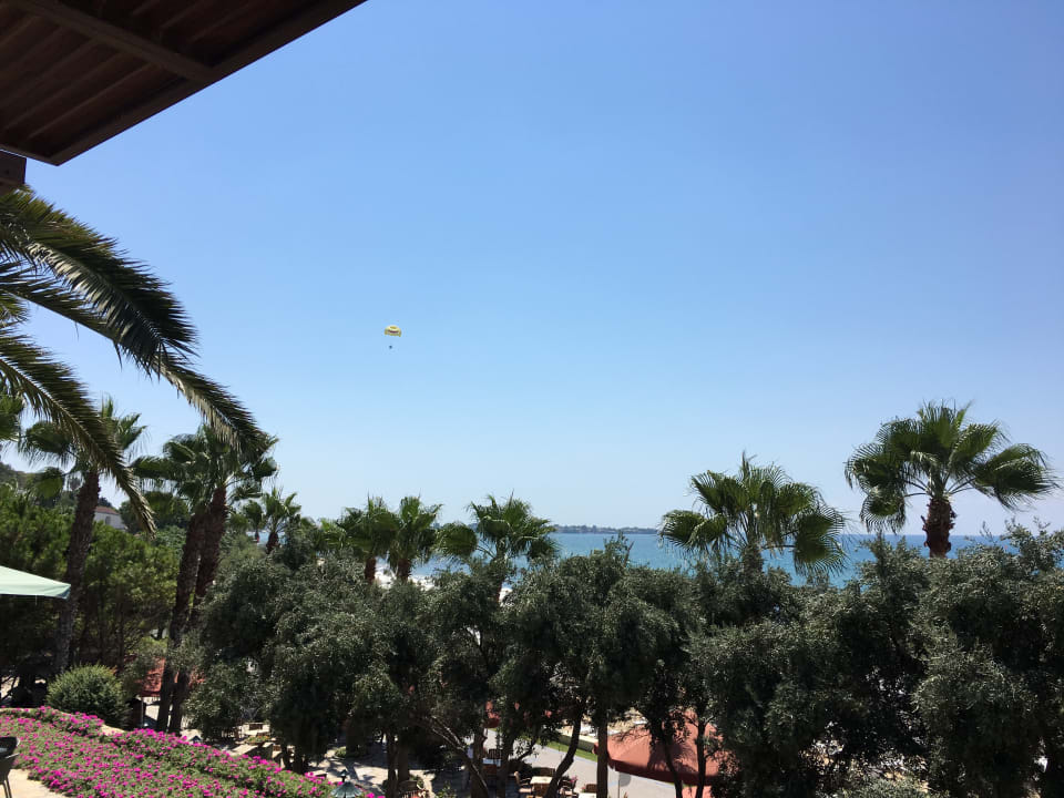 Ausblick Arum Barut Collection