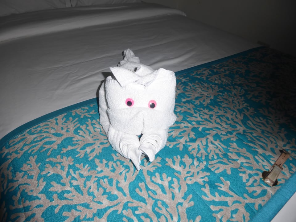 Zimmer Hotel & Club Punta Leona