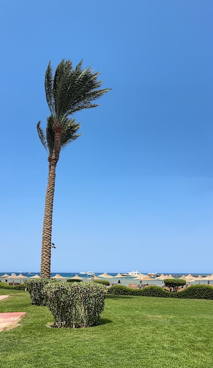 Außenansicht Cleopatra Luxury Resort Makadi Bay