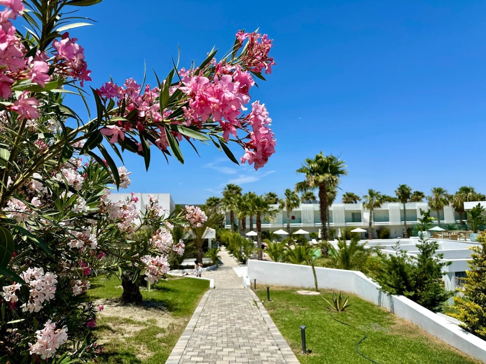 Gartenanlage White Dreams Resort & Anex