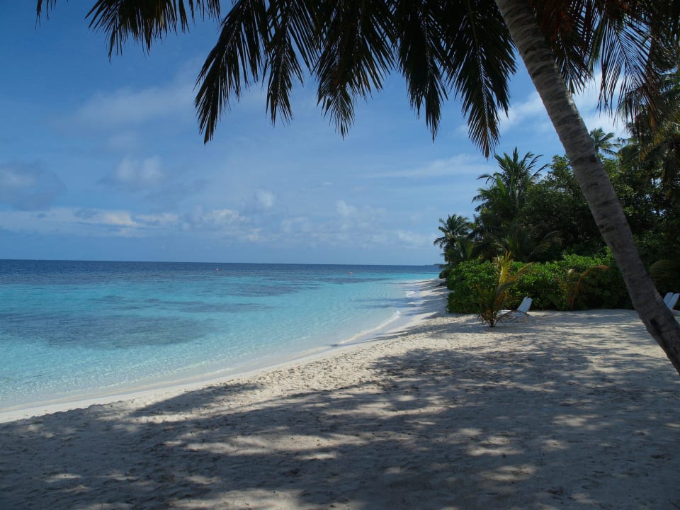 Strand Bandos Maldives
