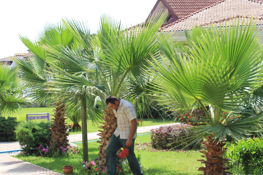 Garten Club Tuana Fethiye
