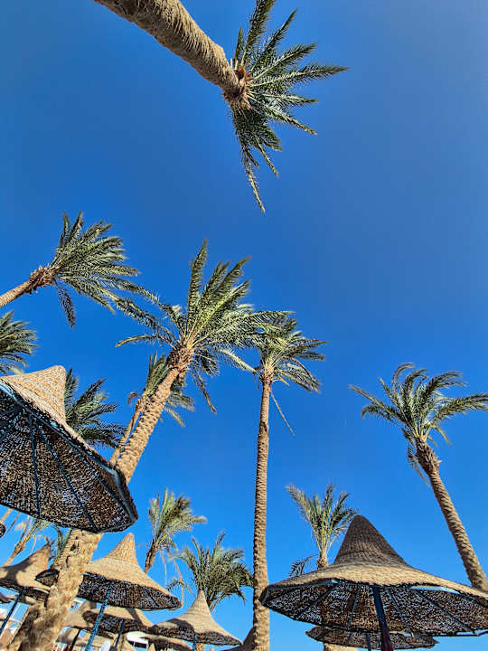 Strand Marlin Inn Azur Resort