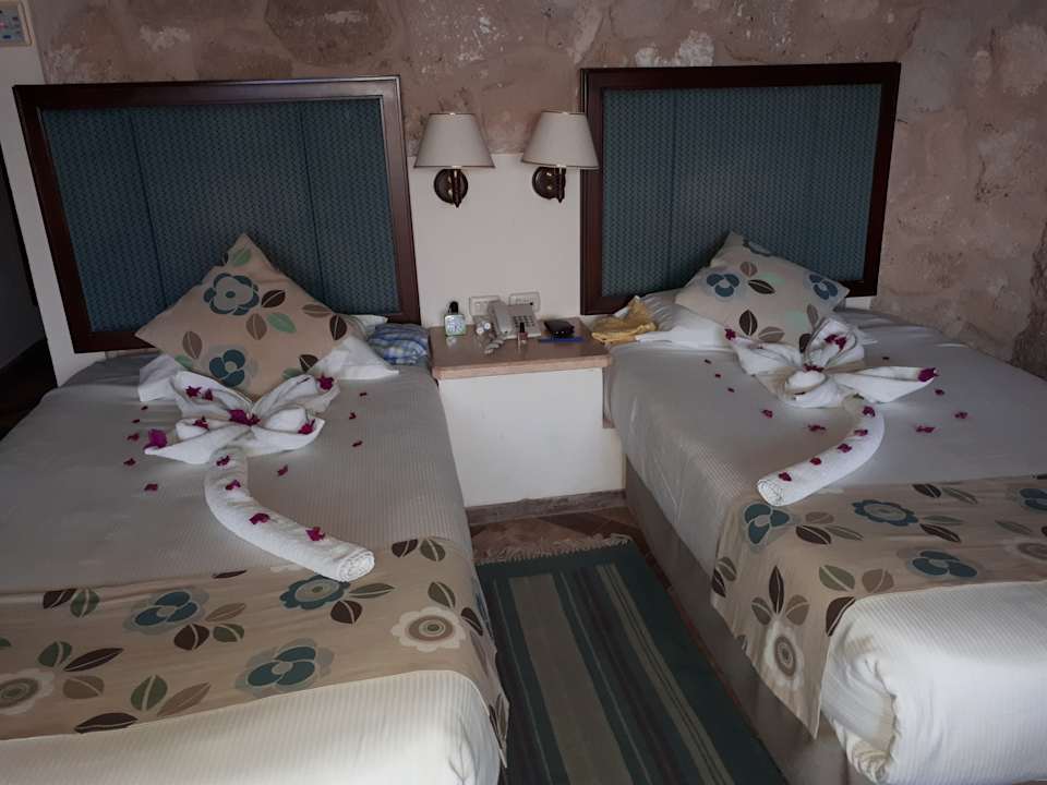 Zimmer Pickalbatros Citadel Resort