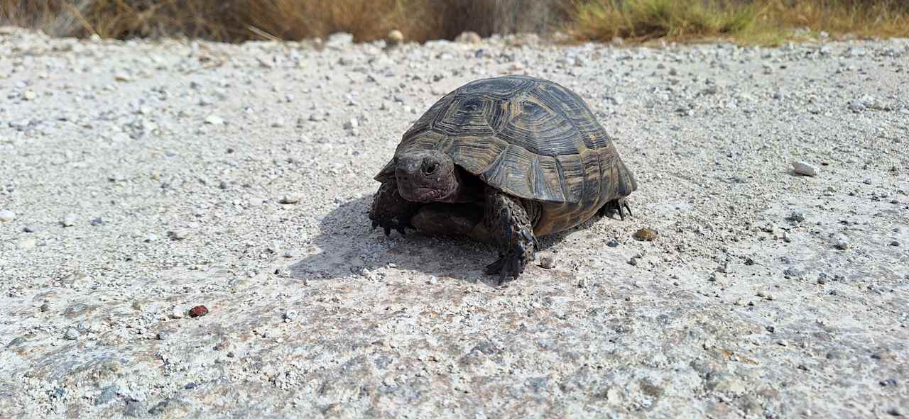 Sonstiges Philoxenia Hotel