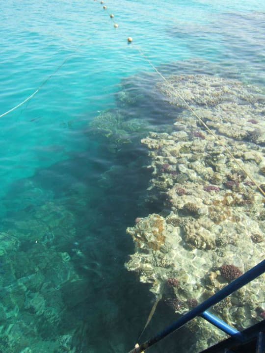 Riff Mövenpick Resort El Quseir