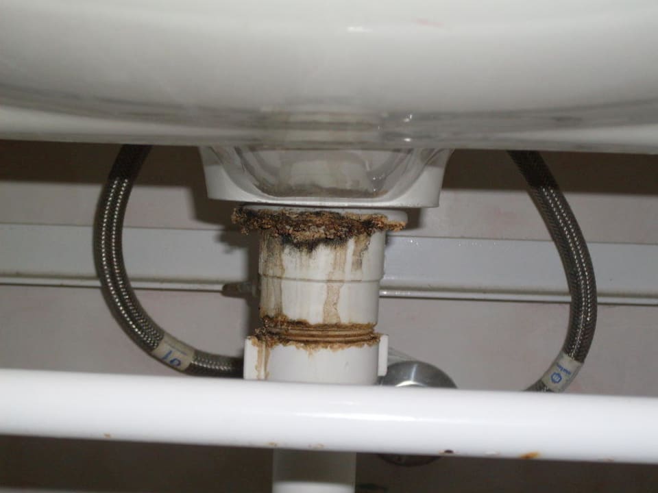 Gestankverursacher im Zimmer Tintyava Park Hotel