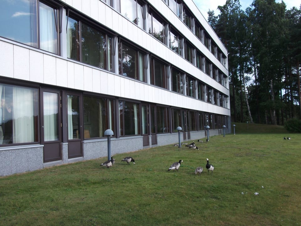 Наш номер снаружи. Hilton Helsinki Kalastajatorppa