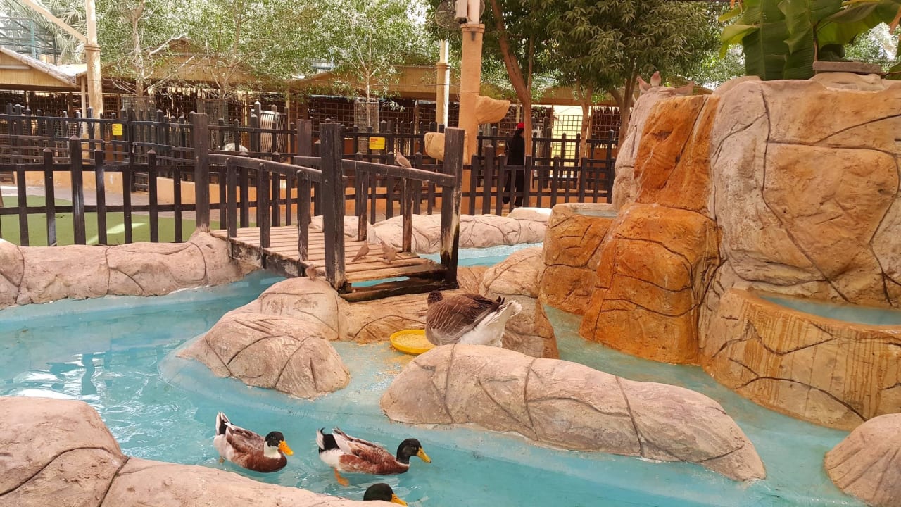 Zoo Hotel Emirates Park Resort